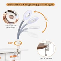 Vaporisateur facial électrique portable 3-en-1 moderne pour usage en centre commercial, double tube chaud/froid, multifonctionnel, pour spa et relaxation