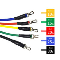 Venta al por mayor entrenamiento Fitness gimnasio Pull up Set 11 piezas 11 piezas bandas de resistencia tubo