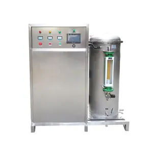 Landwirtschaft Fischzucht Sauerstoff Ozon generator 100g Ozonator Generator Wasser auf bereiter