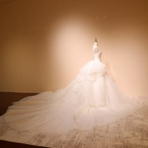 Nouvelle Robe de <span class=keywords><strong>Mariée</strong></span> Haut de Gamme 2026 Personnalisée, Sans Bretelles, Dos Nu, en Dentelle, avec Jupe Amovible en Tulle, <span class=keywords><strong>Grande</strong></span> <span class=keywords><strong>Taille</strong></span>, Double Usage Mère de la <span class=keywords><strong>Mariée</strong></span>/<span class=keywords><strong>Mariée</strong></span> - Product Image 3