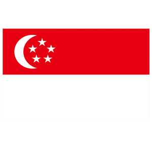 Ingrosso su misura 90x150cm 100% poliestere <span class=keywords><strong>Singapore</strong></span> bandiera nazionale bandiera bandiera sconto Festival Banner celebrazione - Product Image 1