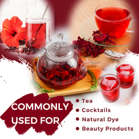 Thé en vrac de fleurs d'hibiscus roselle de haute qualité sous marque privée – Thé santé Luoshenhua – Fleurs d'hibiscus séchées