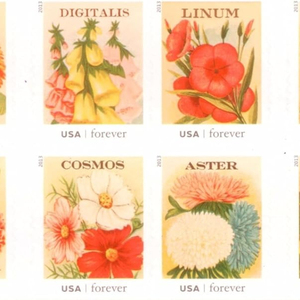 Paquete de Sellos Vintage con Diseños de Semillas (Cuaderno con 20 Sellos) - Product Image 1