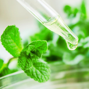 Aceite Esencial de Menta de 10 ml en Roll-on para Náuseas, Grado Premium, Marca Privada, Aromaterapia en Roll-on para Aumentar la Energía y la Concentración - Product Image 3