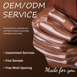 Barres protéinées au chocolat en gros, nutrition, protéines <span class=keywords><strong>de</strong></span> lactosérum WPC, protéines <span class=keywords><strong>de</strong></span> lactosérum composées, collations protéinées au chocolat pour l'énergie - Product Image 5