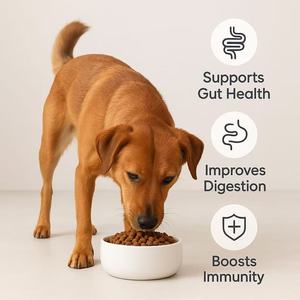 Probióticos OME para Perros, Hipoalergénicos, Aceite de Pescado Natural, Vitaminas, Refuerzo Inmunológico, Masticables Suaves para el Cuidado de la Salud del Estómago Sensible - Product Image 3