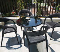 Chaises de jardin contemporaines en PVC pour l'extérieur, idéales pour la maison, le bureau et les appartements