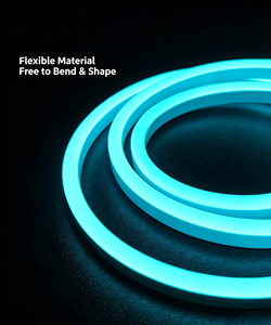 220V <b>Plug</b>-and-Play Silicone Neon <b>LED</b> Strip Ultra-Bright Flexible Tape <b>Light</b> for Home Ceiling and Cabinet Lighting - Product Image 5