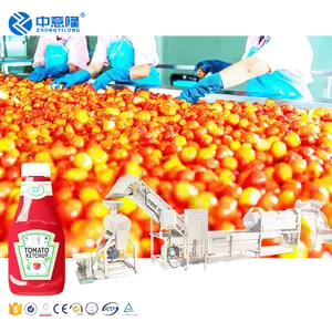 Équipement commercial de traitement de pâte de tomate ligne de production complète pâte de tomate confiture sauce ketchup pour petite entreprise
