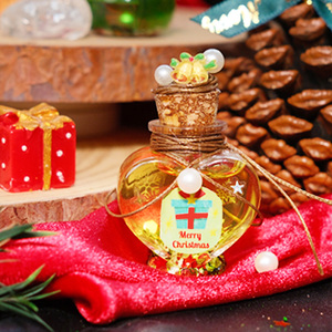 Đồ chơi giáo dục tự làm Bộ pha chế phép thuật Giáng sinh Bộ dụng cụ pha chế phép thuật dành cho trẻ em Đồ chơi học tập Quà tặng Giáng sinh cho bé gái - Product Image 2