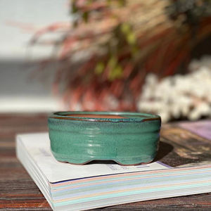 Mini pot de plantes succulentes pour décoration de jardin, vente en gros, avec trou de Drainage - Product Image 4