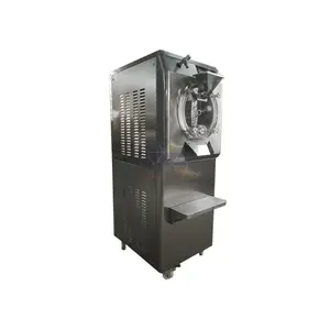 Hot koop gelato maker/hard ijs machine/gelato batch vriezer
