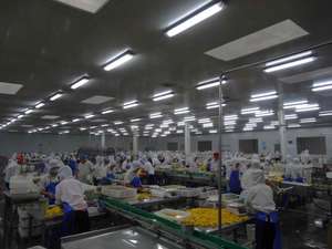 Usine chinoise en gros nouvelle saison pêche jaune mûre en conserve demi pêche jaune au sirop léger 425g - Product Image 6