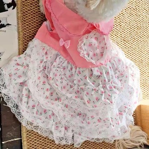 Pet Clothes Princess <b>Lace</b> Floral Dress For <b>Teddy</b> Bichon Frise Dog Sweetheart Style Four Seasons Decorative Skirt HFD6524 - Product Image 2