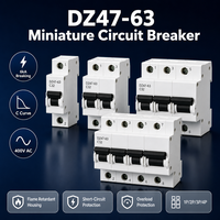 Disjoncteur miniature Wanbo-542 DZ47-63 Courbe C 6kA 400V 1P 2P 3P 4P MCB Interrupteur d'air Rail DIN Tableau de distribution