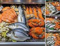 Congélateur commercial à îlot avec armoire en acier peint et contrôle numérique de la température pour la présentation de viandes et de fruits de mer surgelés