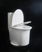 Toilette moderne en céramique monobloc à double chasse d'eau avec drainage à siphon en S pour la maison ou l'hôtel