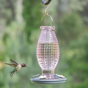 Comedero para Pájaros Colgante, a Prueba de Hormigas y Abejas, Comederos de Vidrio para Colibríes para Exteriores - Product Image 4