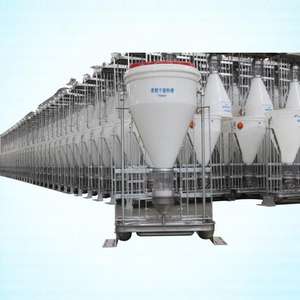 Alimentador automático duradero húmedo y seco, ajuste de velocidad de caída de alimentación, nueva condición, equipo de cría de cerdos - Product Image 5