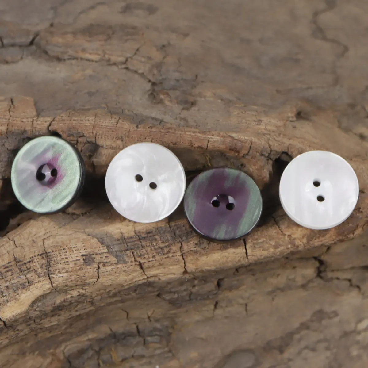 Geniş kenar renkli siyah kelebek kabuk gömlek kazak hırka reçine düğmeleri