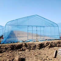 Serre tunnel agricole monopente en film PE pour la production de tomates, concombres, poivrons, fraises et légumes