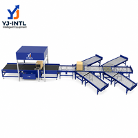 Sistema DWS, Máquina Clasificadora de Paquetes Automática, Banda de Acero Inoxidable, Alta Capacidad (1000-8000 PPH), Canales Personalizables, China