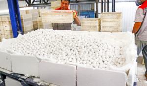 92% 높은 알루미나 볼 그라인딩 비즈 알루미나 그라인딩 볼 알루미늄 산화물 볼 - Product Image 5