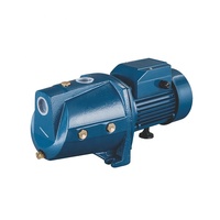 Pompe à eau électrique OEM JET Booster haute pression auto-amorçante avec turbine en laiton et bobine 100% cuivre pour traitement de l'eau potable 1