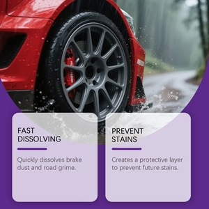 X9 Iron Remover Spray for Car Detailing-Removes Iron Particles Auto Paint Boats | 3-Year Expiration | Extreme Tire <strong>Shine</strong> - Product Image 3
