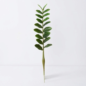 H-897 <span class=keywords><strong>Arbre</strong></span> à monnaie artificiel en <span class=keywords><strong>eucalyptus</strong></span> à <span class=keywords><strong>prix</strong></span> de gros, avec tige à feuille unique Zamiifolia, pour décorations de maison et de mariage - Product Image 1