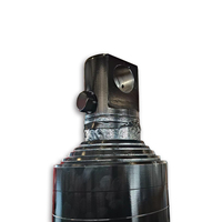 Vérin hydraulique télescopique à simple effet de type EF à 5 étapes, personnalisé avec une longue durée de vie et une garantie de 14 mois
