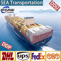 Services de logistique de fret porte-à-porte professionnels, services de transport routier LCL, Chine vers la Belgique, Europe, transport maritime DDP