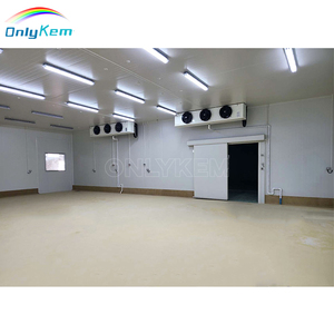 Almacenamiento en frío industrial Refrigeración Walk in Chiller Freezer Room Precio - Product Image 4