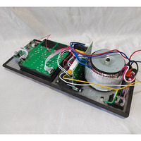 Système audio professionnel Mellisong ART 156, amplificateur de puissance analogique de classe AB 600W, module d'amplificateur à plaque, boîtier métallique, enceintes actives complètes, CE/RoHS