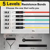 HSM Bandes de Résistance en Latex pour Fitness, Équipement d'Exercice, Ensemble de Bandes de Résistance, Tube en Latex, Barre d'Ancre de Porte