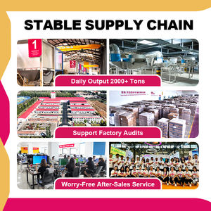 Litière pour chat en bois de pin biodégradable, très absorbante, faible en poussière, contrôle des odeurs, vente en gros OEM, écologique, Haisenpet - Product Image 3