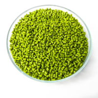 Colorants pigmentaires Masterbatch verts de couleur personnalisée en plastique pour moulage par injection