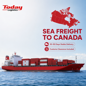 Agente de Carga Profesional de China a Canadá, FBA, Transporte Marítimo Express, DDP, Despacho de Aduanas Profesional, Seguro, 15 Años de Experiencia - Product Image 1