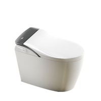 Nouvelle toilette intelligente à éclairage intégré, entièrement automatique, avec fonction de lavage des fesses, électrique, murale, pour hôtels, appartements, vente en gros
