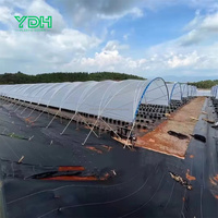 Meilleure vente grand 9x100 Caterpillar Poly tunnel à effet de serre matériau PE pour myrtille framboise ferme marché australien grandes fermes