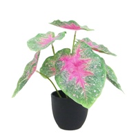 Plante artificielle mini Caladium Taro à 7 feuilles, 23 cm de haut, vente en gros, petit bonsaï