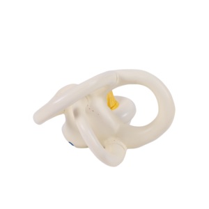 PVC mô hình tai trong mê cung mở rộng tai người giải phẫu mô hình ốc tai bán tròn - Product Image 3