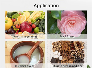 High Quality <b>Fruit</b> and Vegetable Juice <b>Press</b> Extractor Apple Juice Cold <b>Press</b> Machine Iced Grape Wine Juicer Price on Sale - Product Image 2