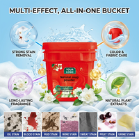 Lessive en poudre écologique naturelle à base de plantes, biodégradable, pour usage familial, vente en gros
