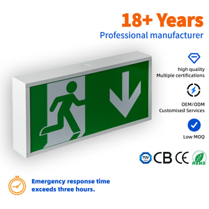 Lampe de sortie de secours multifonctionnelle suspendue de haute qualité pour couloir d'hôtels fabriquée en Chine - Product Image 1
