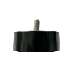 Tensor de Correa Ajustable de Alta Calidad con Rodamiento, Número OE 1015610GD150 - Product Image 2