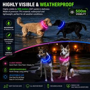 Collier LED Lumineux Rose Orange Clair pour Chien, Collier Intelligent Personnalisé pour Animaux de Compagnie par Grand Fabricant, Réfléchissant, en Silicone, Étanche, Motif Uni - Product Image 3