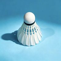 Volant de badminton hybride léger en plumes d'oie, vitesse 74-79, qualité tournoi, fabricant d'usine, vente en gros