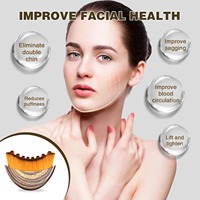 Lot de 2 outils de drainage lymphatique pour le visage en poils synthétiques, Gua Sha, réduit les gonflements, éclaircit la peau, ergonomique, utilisation quotidienne pour le visage et le corps