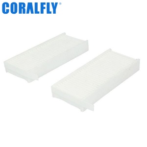Filtro de Aire Acondicionado para Cabina, Filtro de Aire Acondicionado 2181325 AF56109 para Daf - Product Image 1